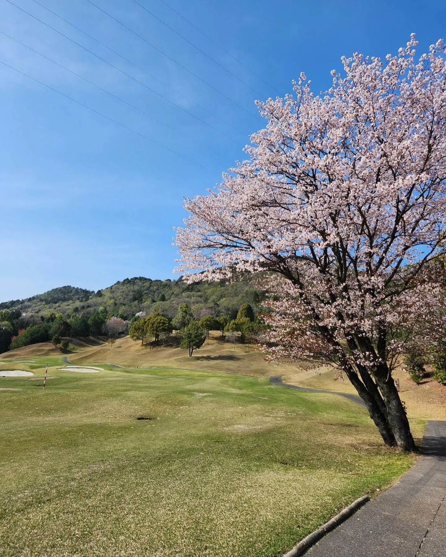 4月7日運送会社の配車まんや社長が集まったゴルフ⛳️コンペに...