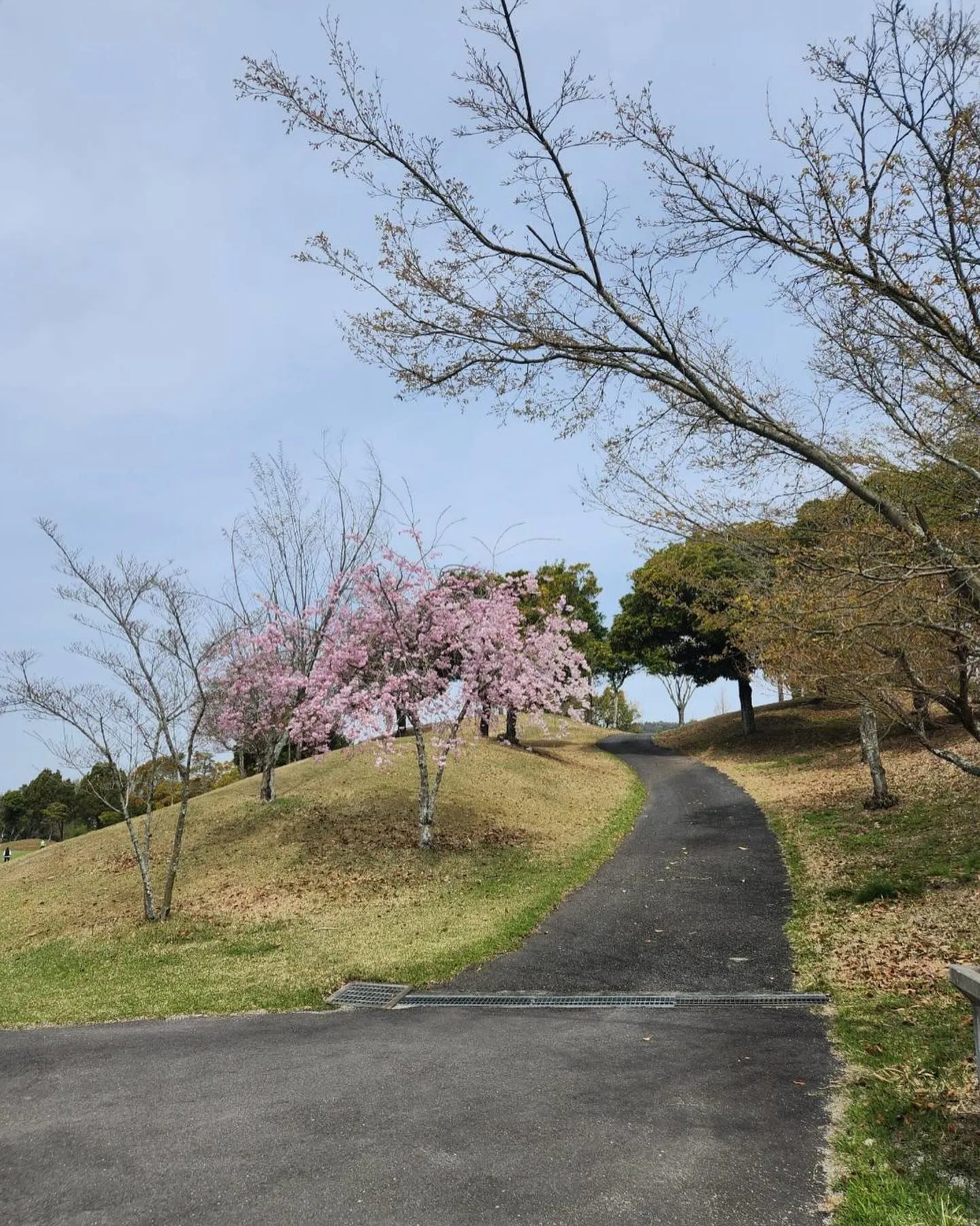 4月7日運送会社の配車まんや社長が集まったゴルフ⛳️コンペに...